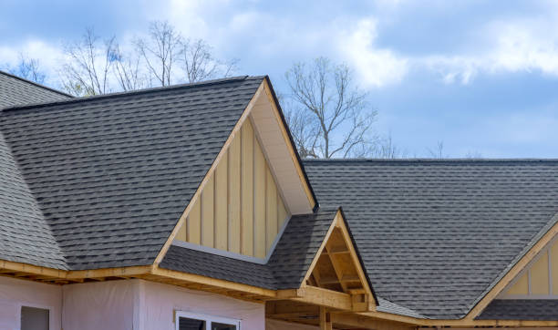 Best Asphalt Shingles Roofing  in Red Lick, TX