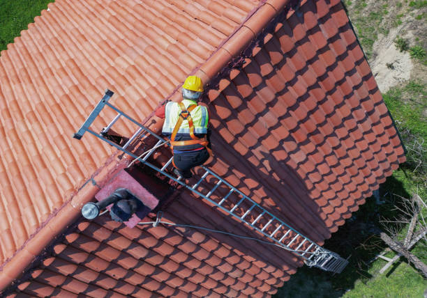 Best Solar Panel Roofing Installation  in Red Lick, TX